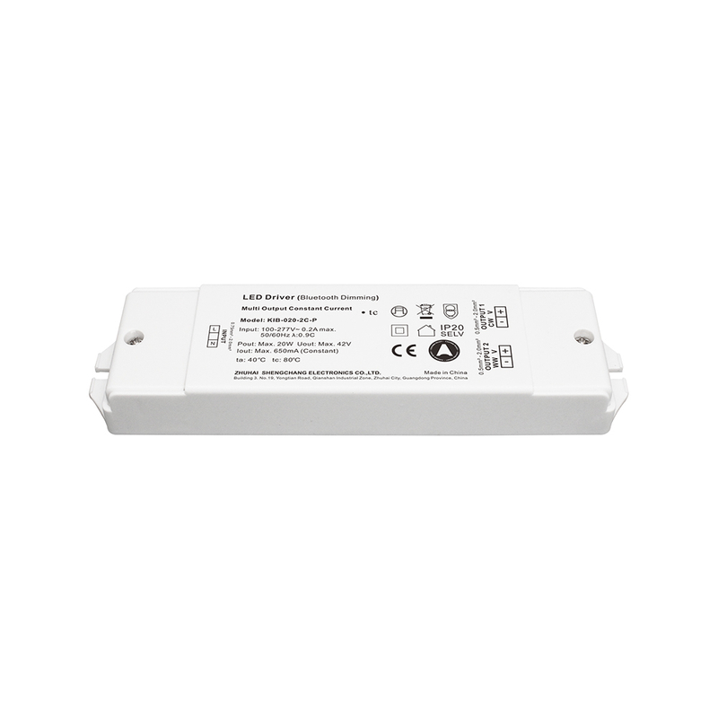 20W Dimming CCT 1 - 2 κανάλια ble casambi σταθερό ρεύμα οδήγησης LED 0 - 650mA 6 - 42 Volt για πίνακα LED