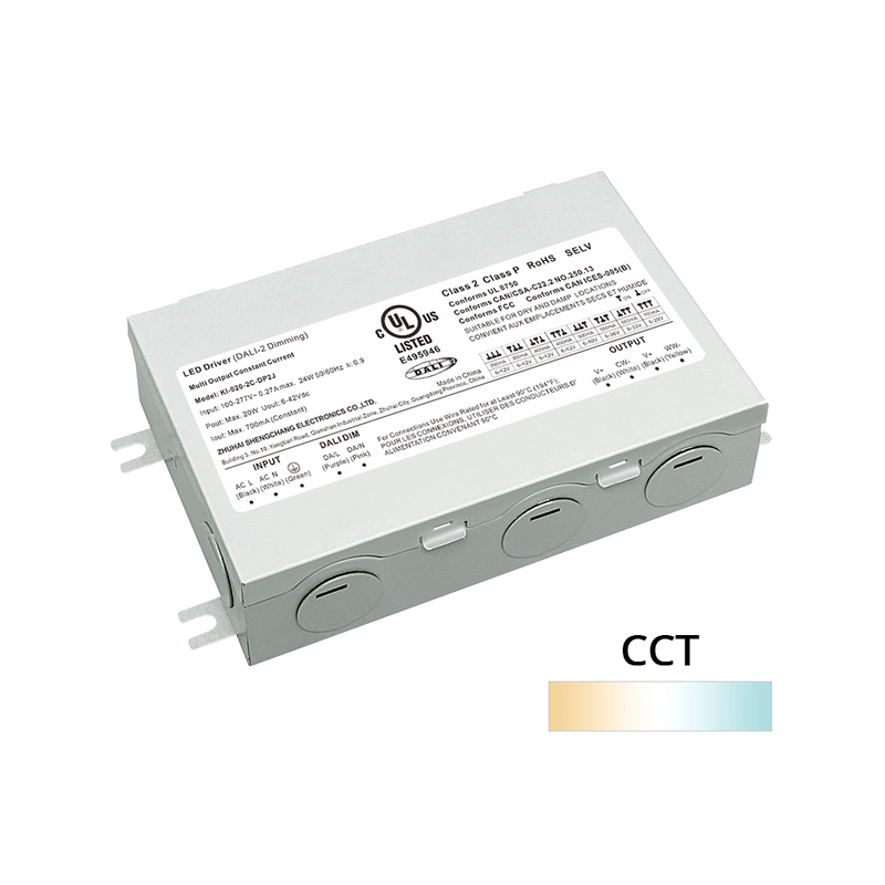 DP2J 20W 40W 60W COSTRUI COSTANTE CCT Classe 2 DalI 2 Push LED con scatola di giunzione