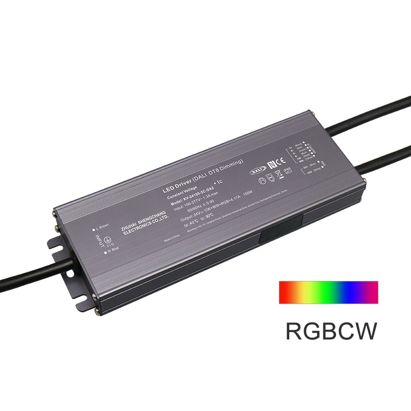 DP2 80W 96W 100W 120W CV RGB CW DALI-2 Push LED Driver 12V 24V 36V 48V DC