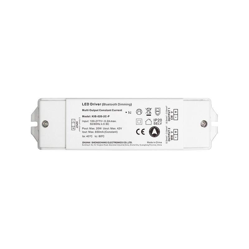 20W Dimming CCT 1 - 2 κανάλια ble casambi σταθερό ρεύμα οδήγησης LED 0 - 650mA 6 - 42 Volt για πίνακα LED