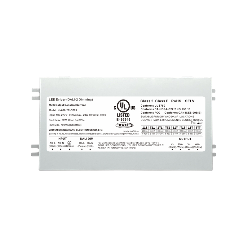 DP2J 20W 40W 60W COSTRUI COSTANTE CCT Classe 2 DalI 2 Push LED con scatola di giunzione