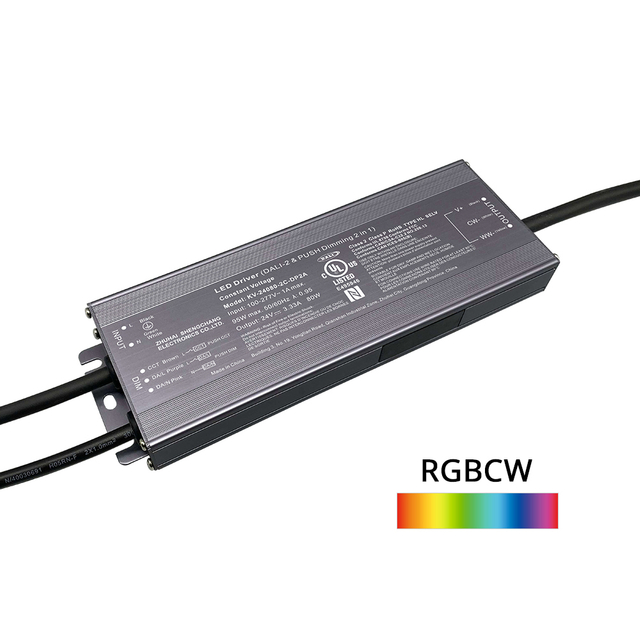 DP2 80W 96W 100W 120W CV RGB CW DALI-2 Push LED Driver 12V 24V 36V 48V DC