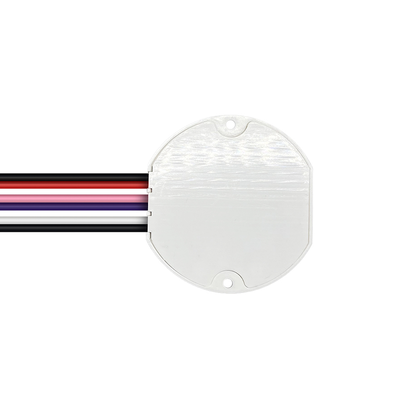 DP2 10W 15W 20W 25W 30W 40W CV Class 2 Class P Dimmable LED Driver Circular Plastic Driver in Vietnam Factory