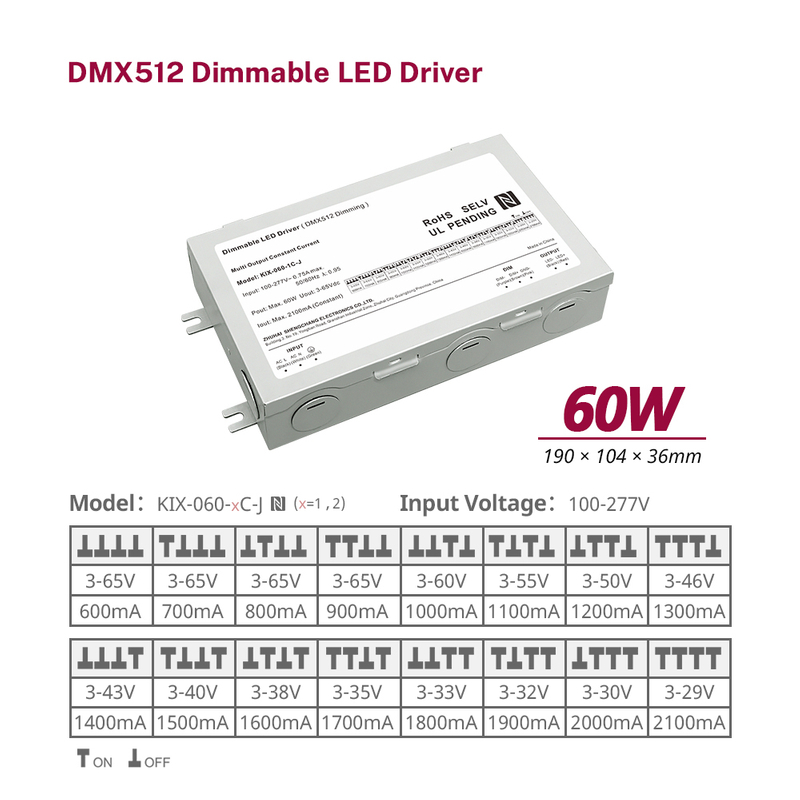 10W 20W 40W 60W DC Σταθερό ρεύμα ρεύματος DMX512 Dimmable LED