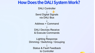 Hvordan virker DALI-systemet_3611_2031.png